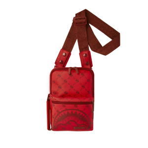 MONEY PATTERN BRICK SLING