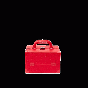 SOULJA BOY JEWELRY CASE