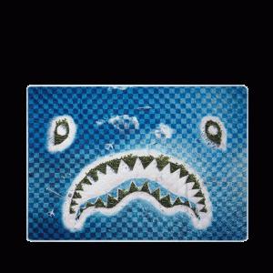 SHARK ISLAND PACKABLE BEACH MAT BLANKET WATER RESISTANT CONVERTIBLE TOTE