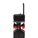 CL217_3