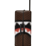 CL237_3