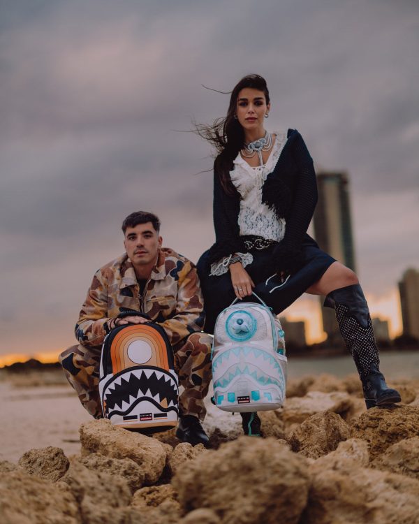 file_0133454e-9d6f-4255-8930-2e28a5376c01