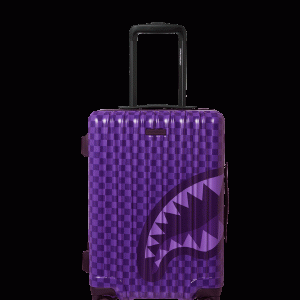 ALL SYSTEMS GO CARRY-ON LUGGAGE