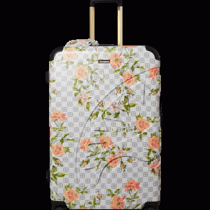 A.I. AFRICAN INTELLIGENCE ELEGANT ENERGY FULL SIZE LUGGAGE - SANDFLOWER COLLAB