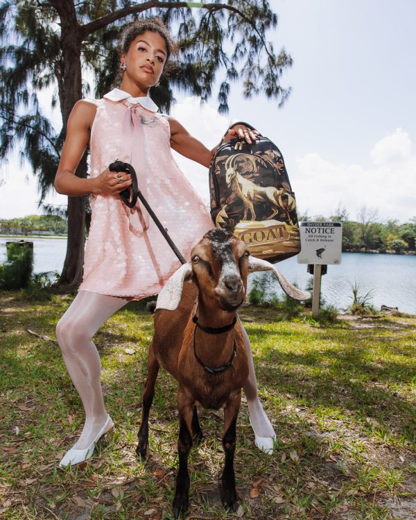 file_33907812-5ef4-4cdf-a380-2cb7331e2c66