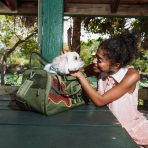 file_4857c295-d8c1-4ab1-aa33-ea00a9352a3b