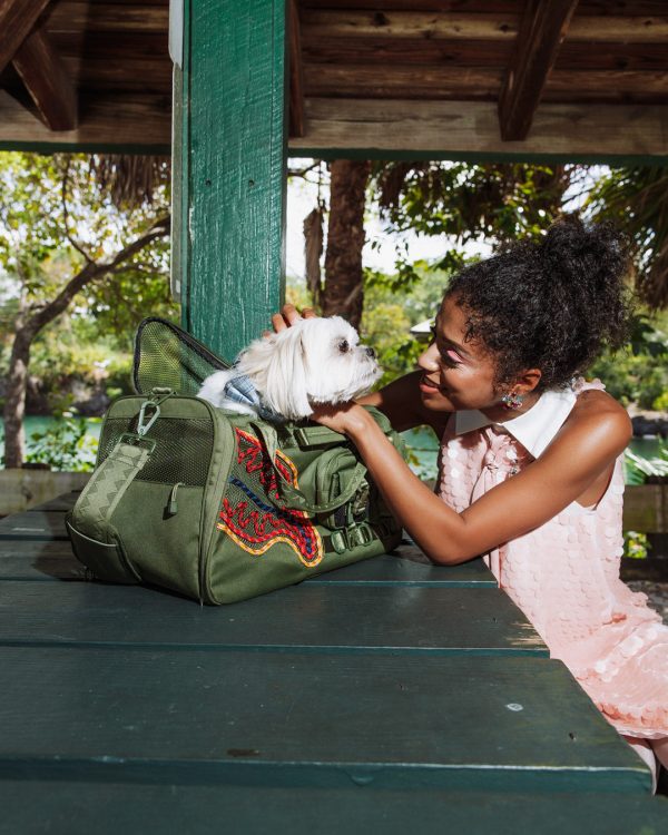 file_4857c295-d8c1-4ab1-aa33-ea00a9352a3b