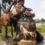 file_6e455988-29da-4c3d-9d2d-e51297f796bb