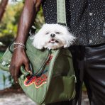 file_7db6e2d8-736b-46ab-b3f2-9f38ea60a3b1