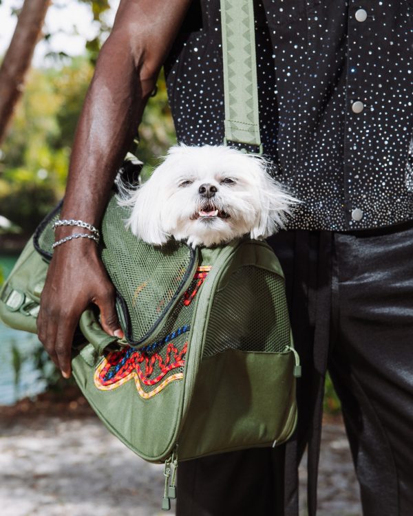 file_7db6e2d8-736b-46ab-b3f2-9f38ea60a3b1