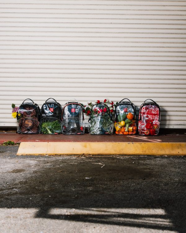 file_a4ff2b2e-2a9d-4c55-905e-627655dd26fa