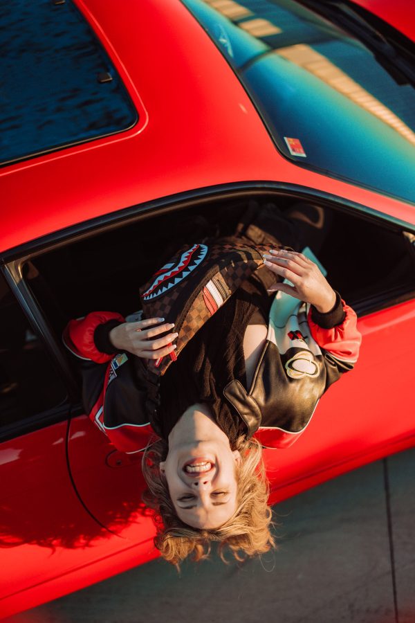 file_a746cc11-16f9-477b-9b03-76fb18df7b4a