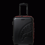 file_a8164e68-750e-4ba2-8c58-8f251ab623ed