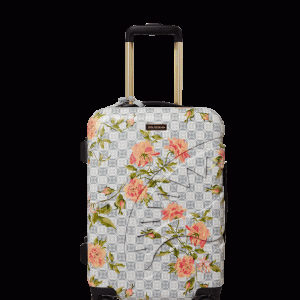 A.I. AFRICAN INTELLIGENCE ELEGANT ENERGY CARRY-ON LUGGAGE - SANDFLOWER COLLAB
