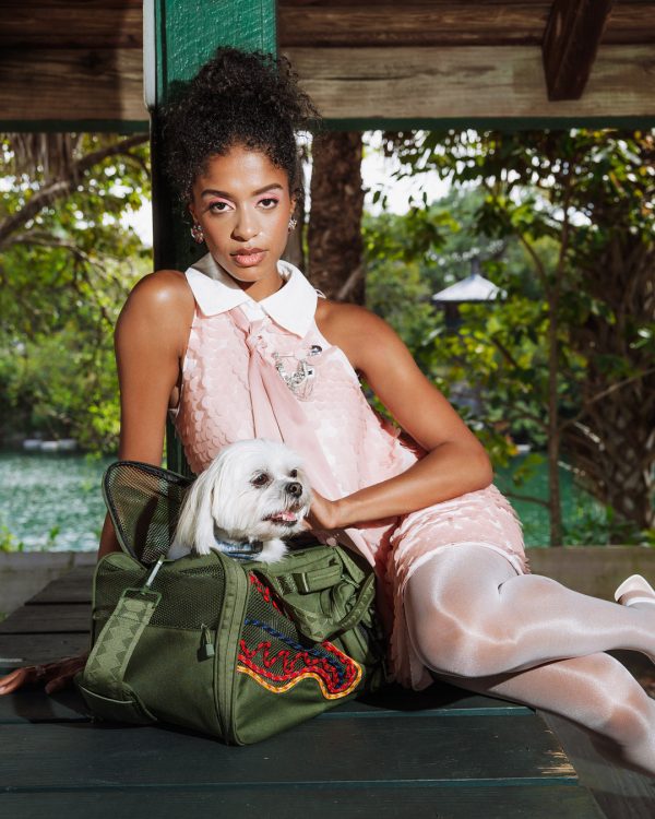 file_cddf47d3-15ef-44ec-95a5-1553af5eb65b