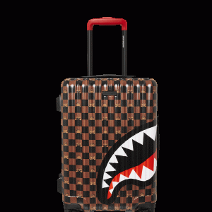 THE HIDEOUT HARD SHELL CARRY-ON LUGGAGE