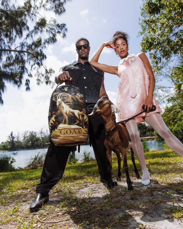 file_e8ef28a9-d4c4-44ce-81fa-7bcca6ff63ea