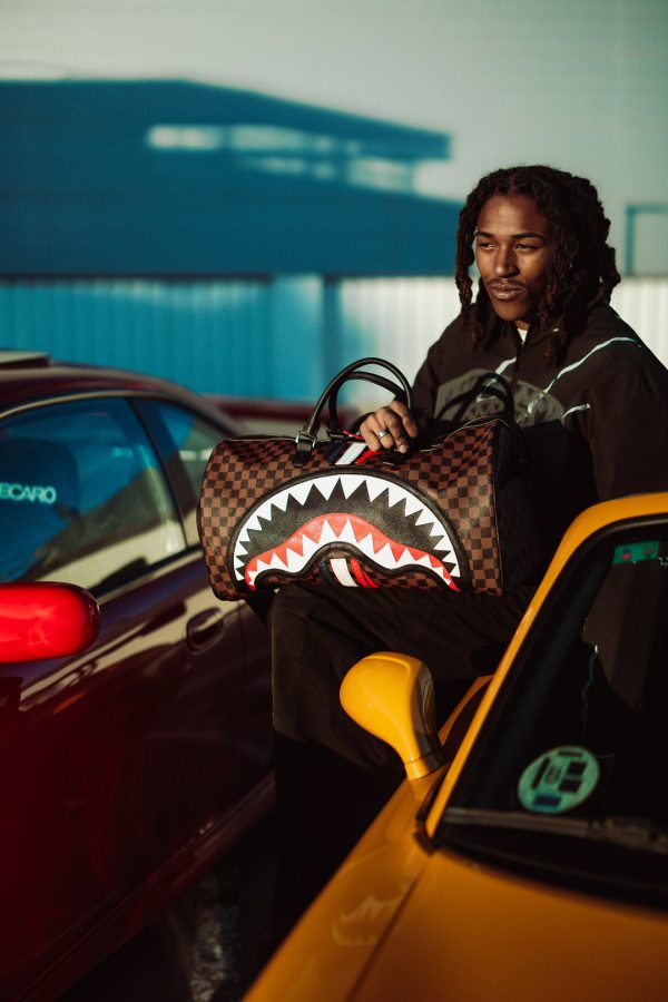 file_ee355b20-0226-4303-838f-516aebb2ec6a