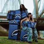 file_f8d49a6d-a7d5-49ef-b214-b7979559b8c1