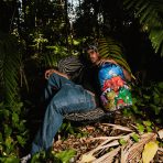 file_fe355841-1799-4259-a1c7-cc67dba95f8b